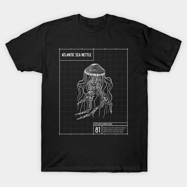 Atlantic Sea Nettle, Marine Biology T-Shirt by OldCamp